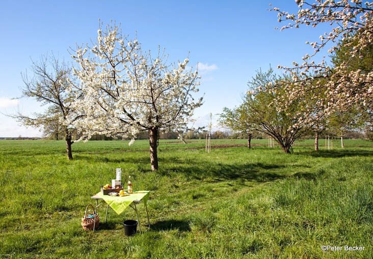 Streuobstwiesen im Spreewald