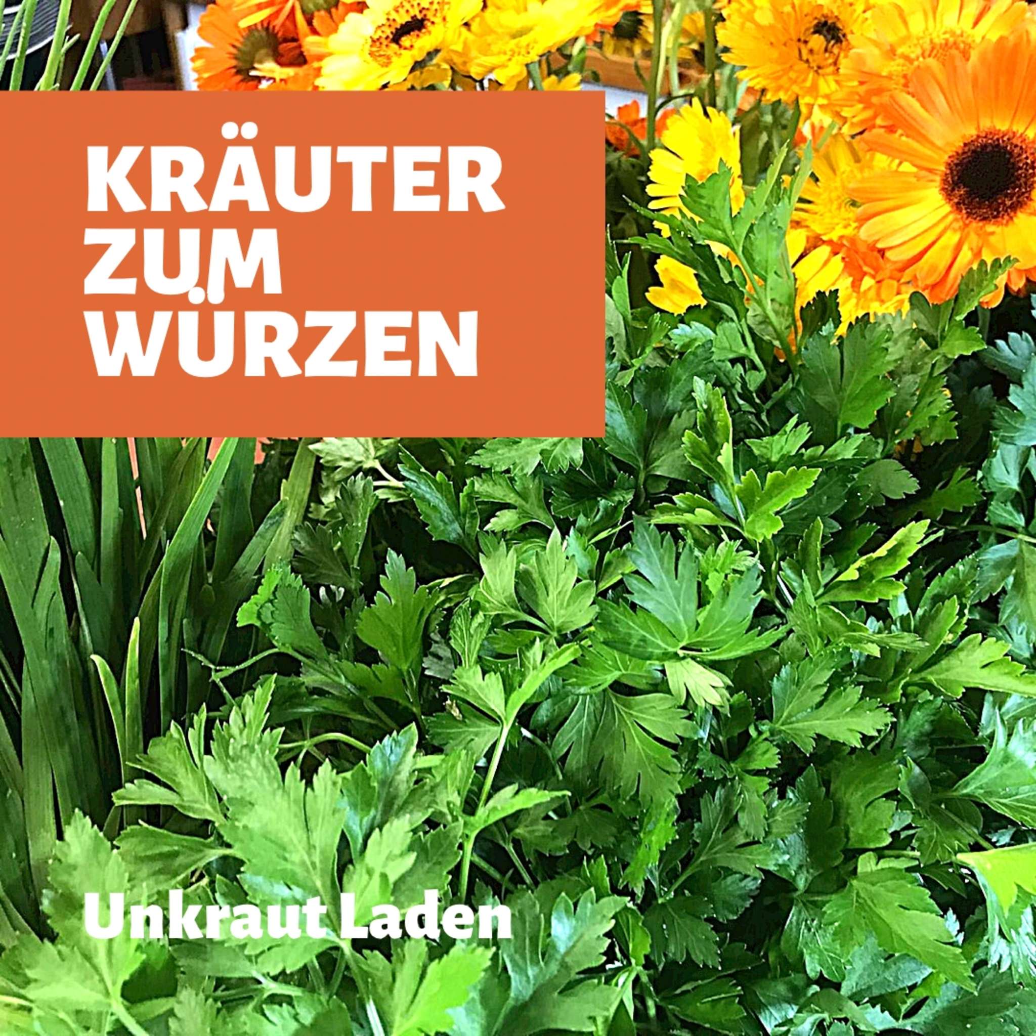 Kräuter zum Würzen dann Unkrautladen