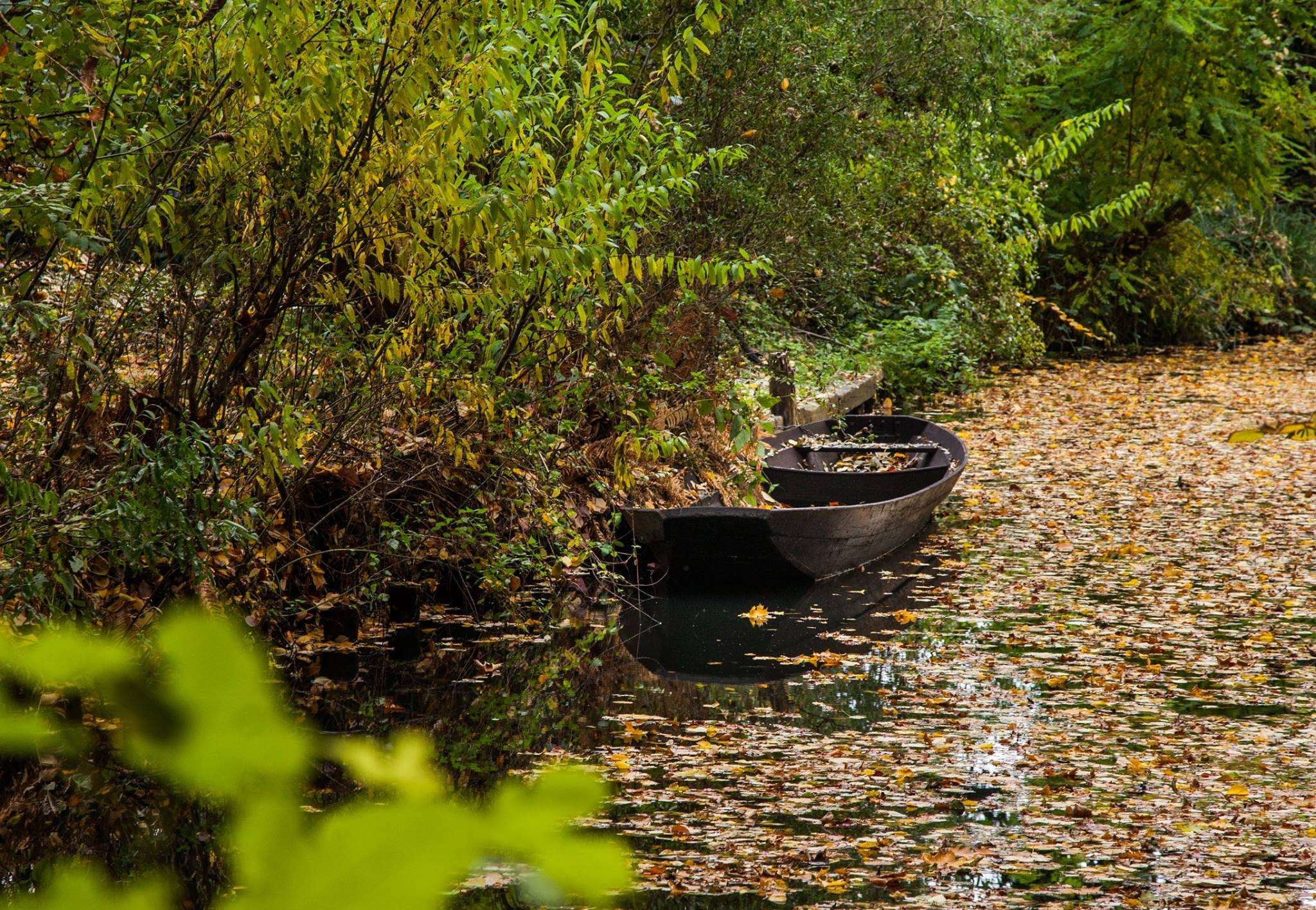 Spreewald im Herbst