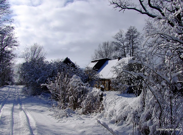 Winterzauber im Spreewald