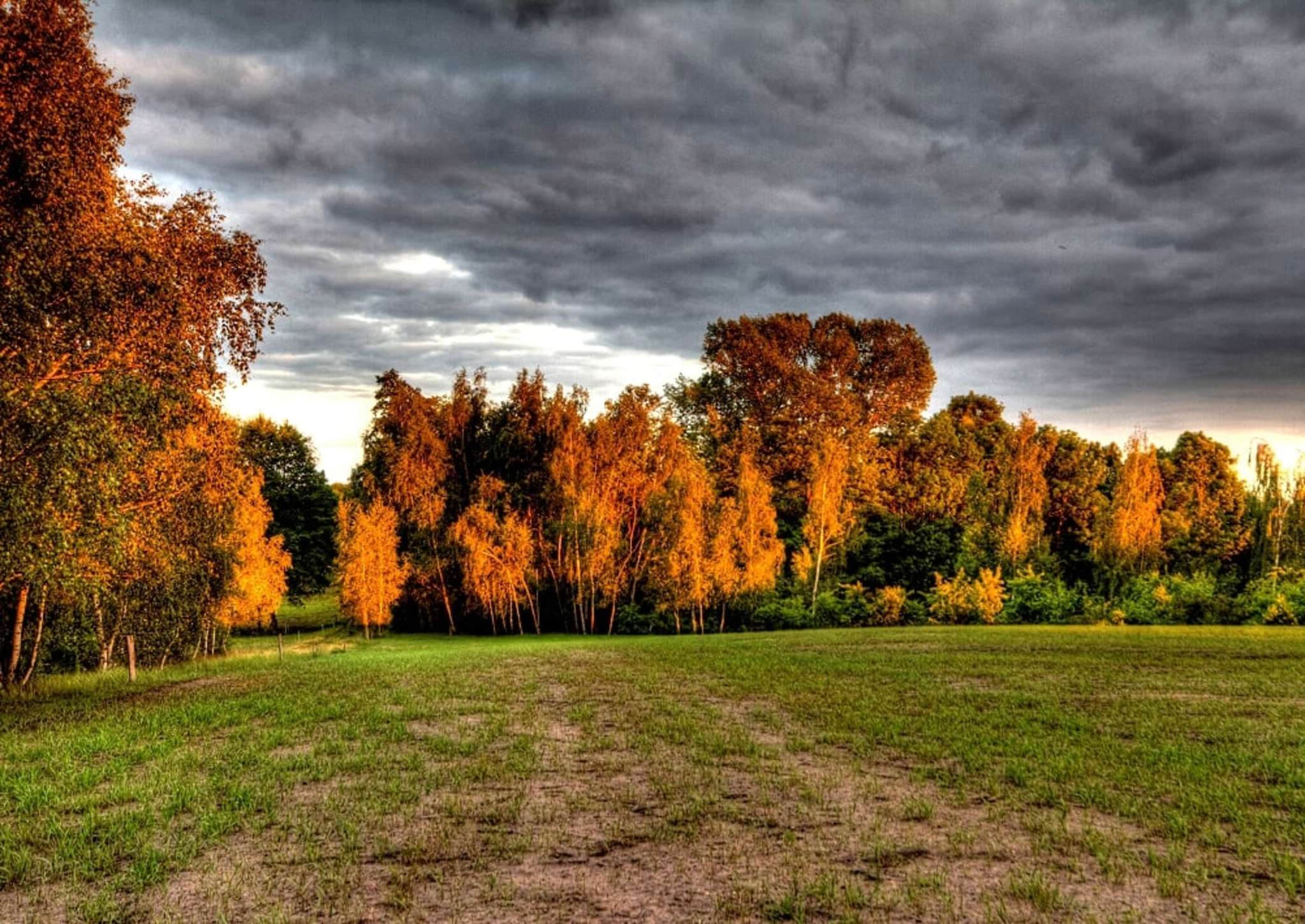 Herbst im Spreewald