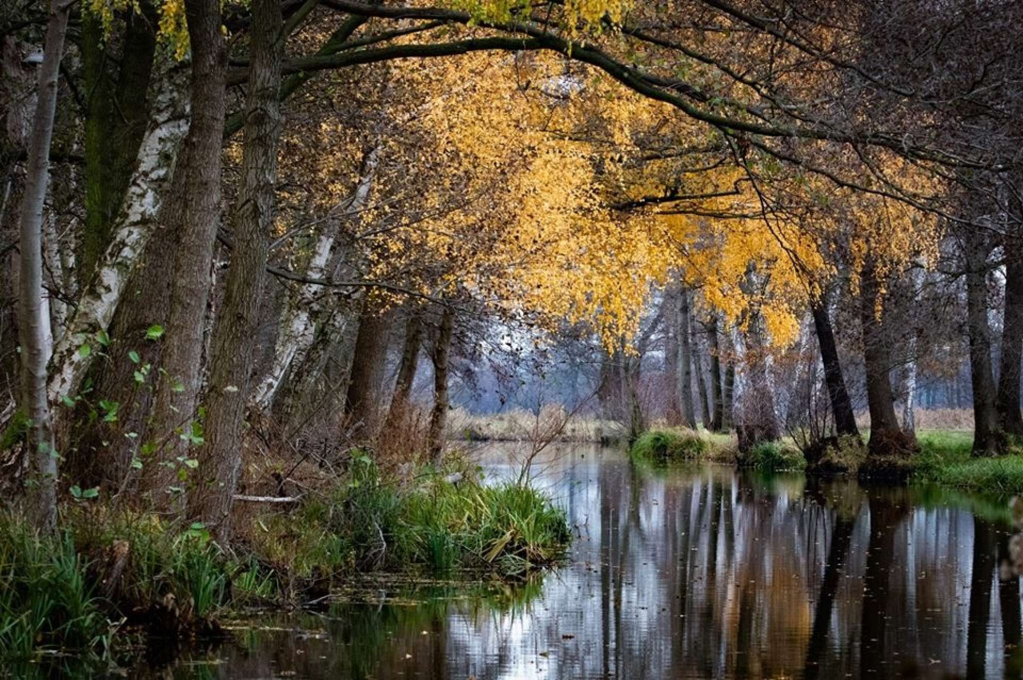 Hier kommt der Herbst