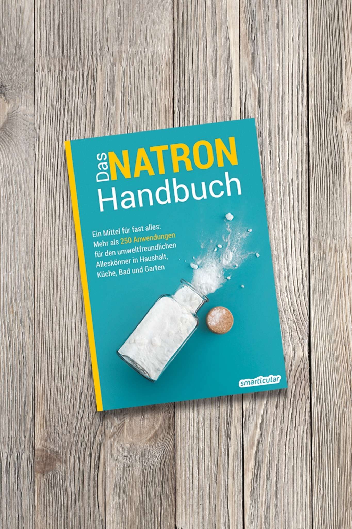 Buchbesprechung Das Natron Handbuch