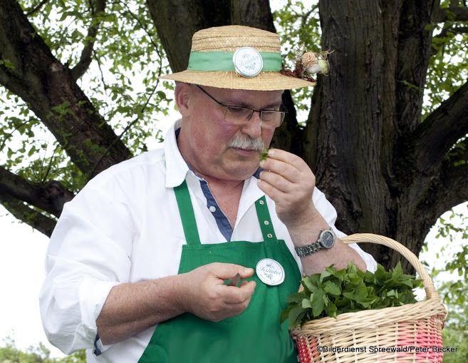 Wildes Grünes - Zaubermittel im Spreewald