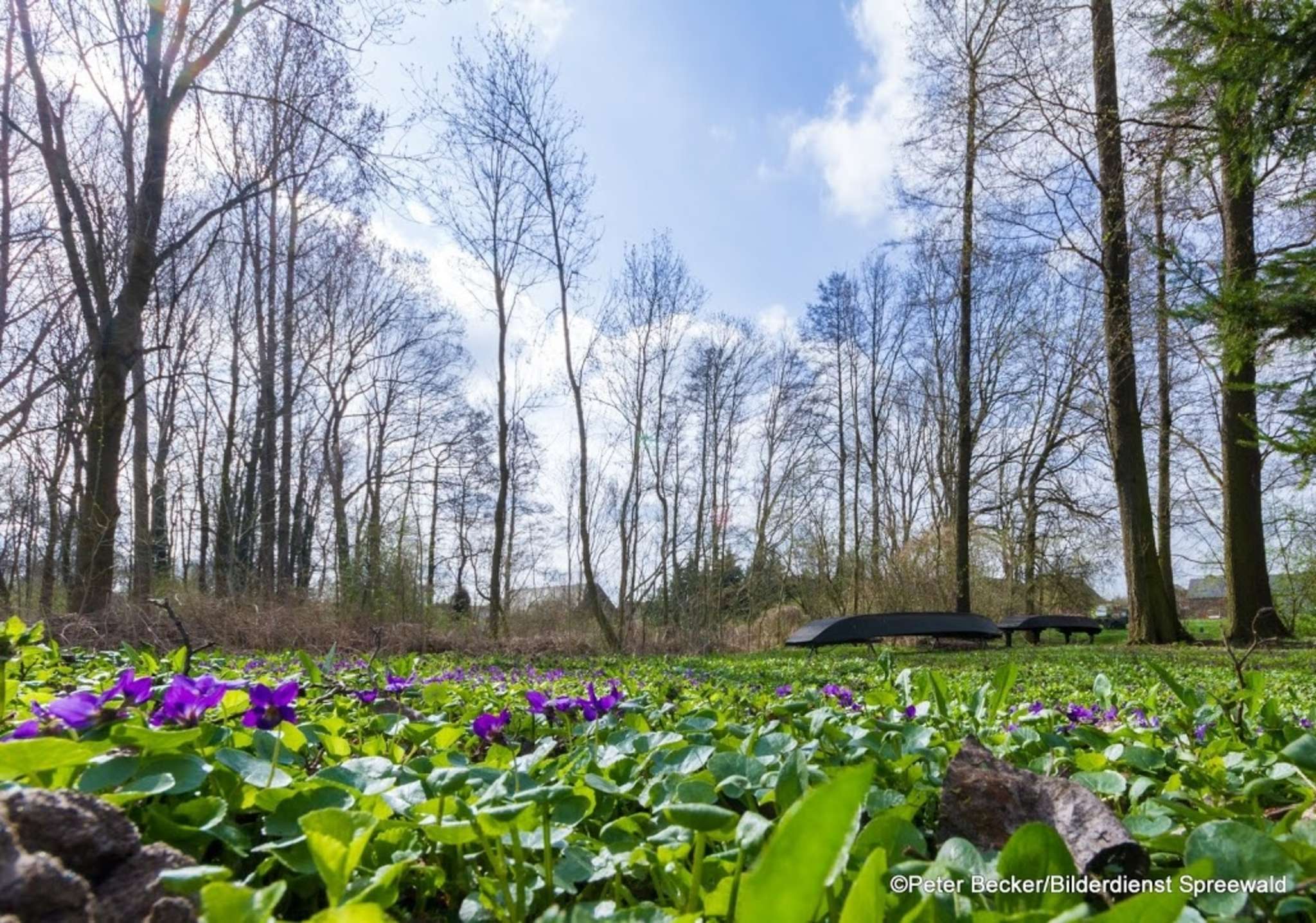 Spreewaldnatur im Frühling entdecken