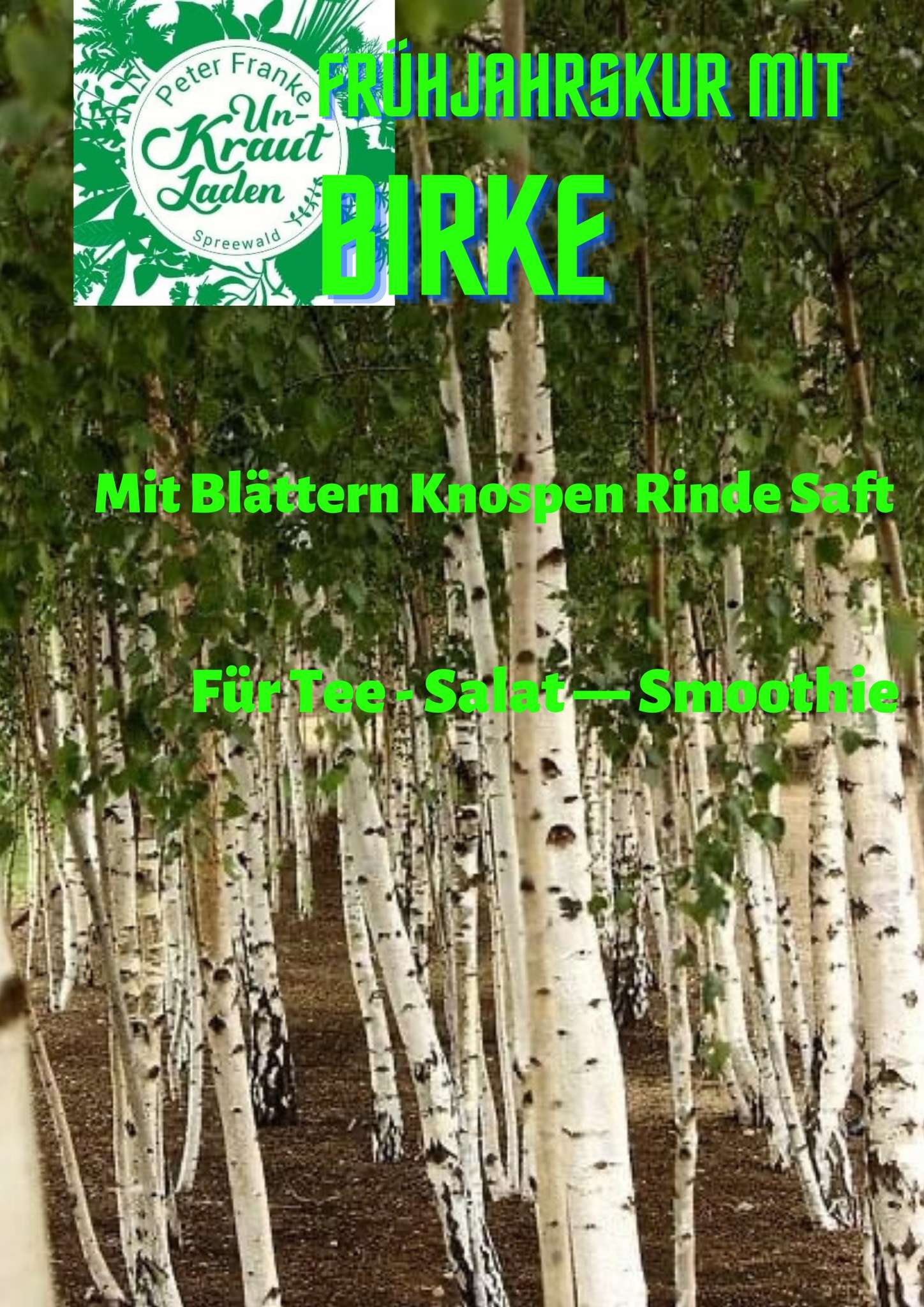 Birke als Frühjahrskur