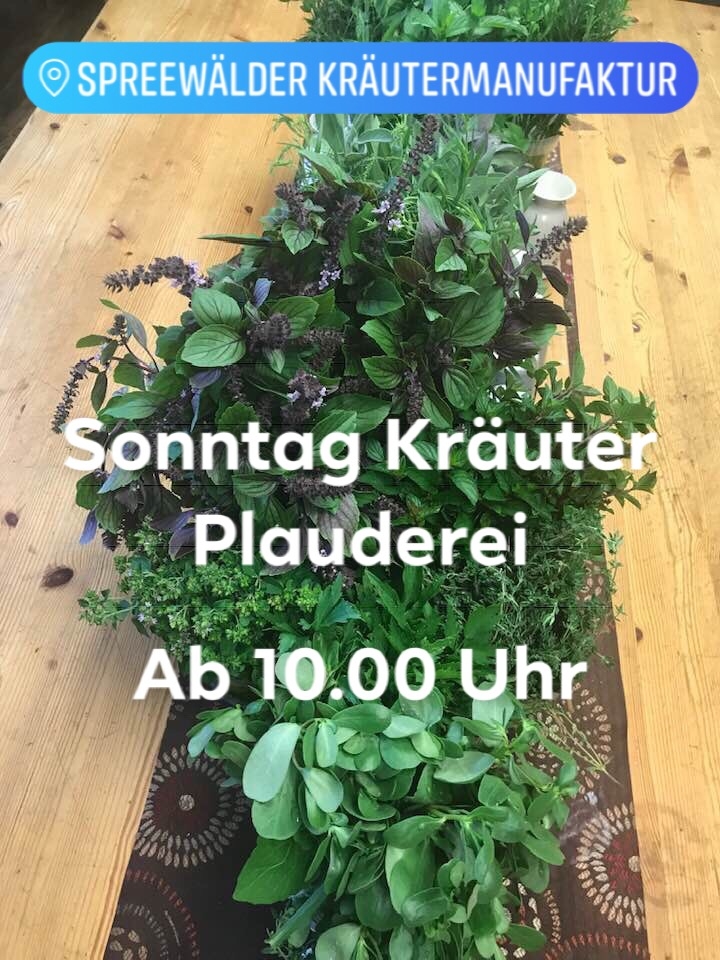 Kräuter Plauderei im Spreewald