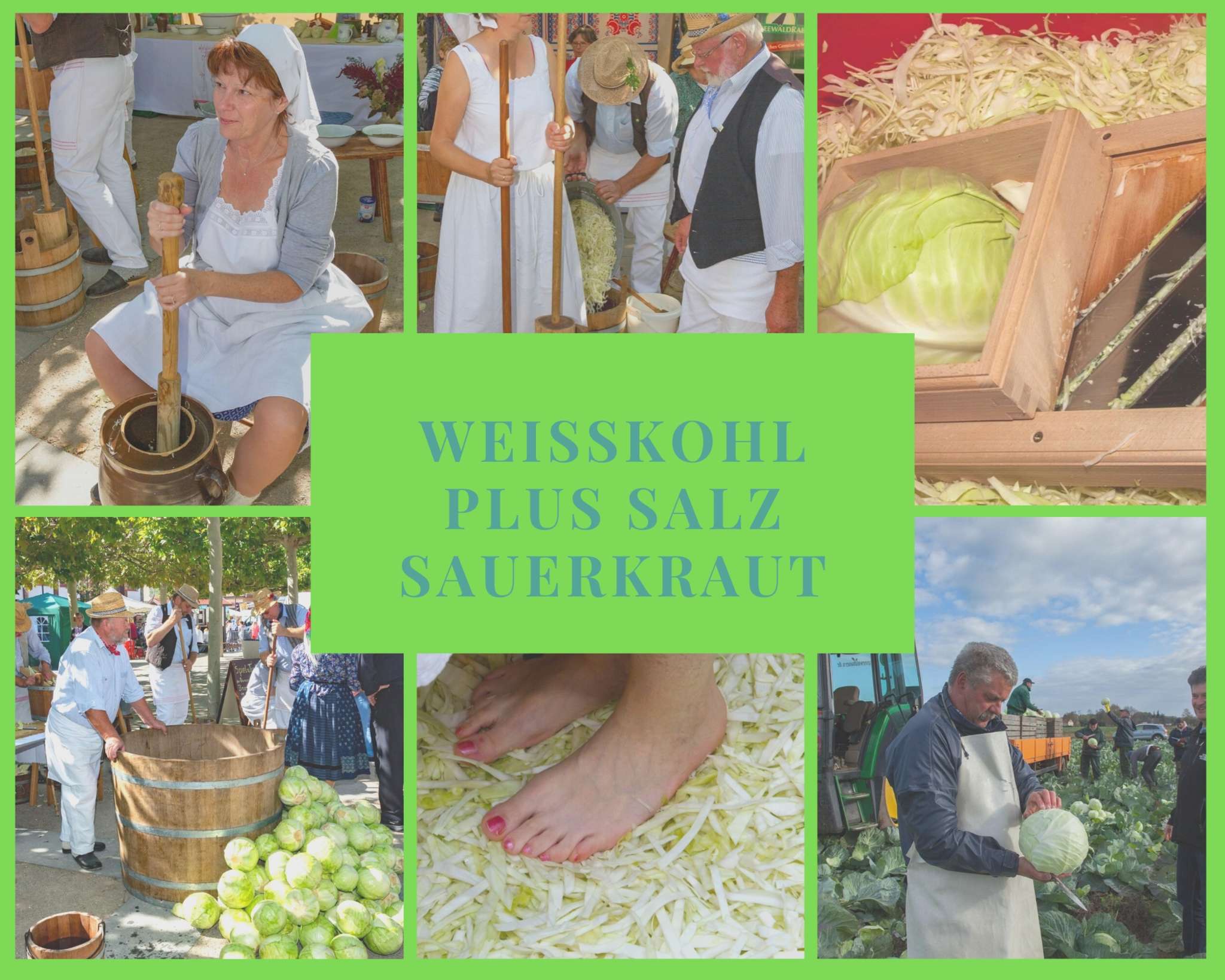 Sauerkraut im Spreewald entdecken