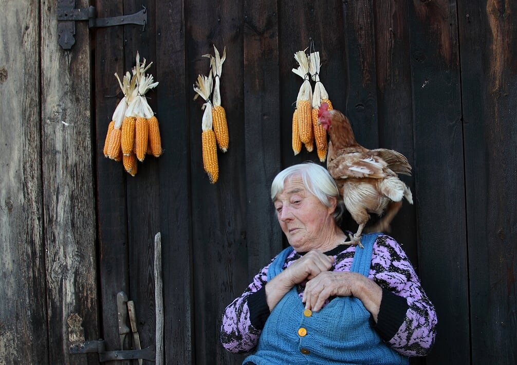 Das beste Foto im Spreewald ?