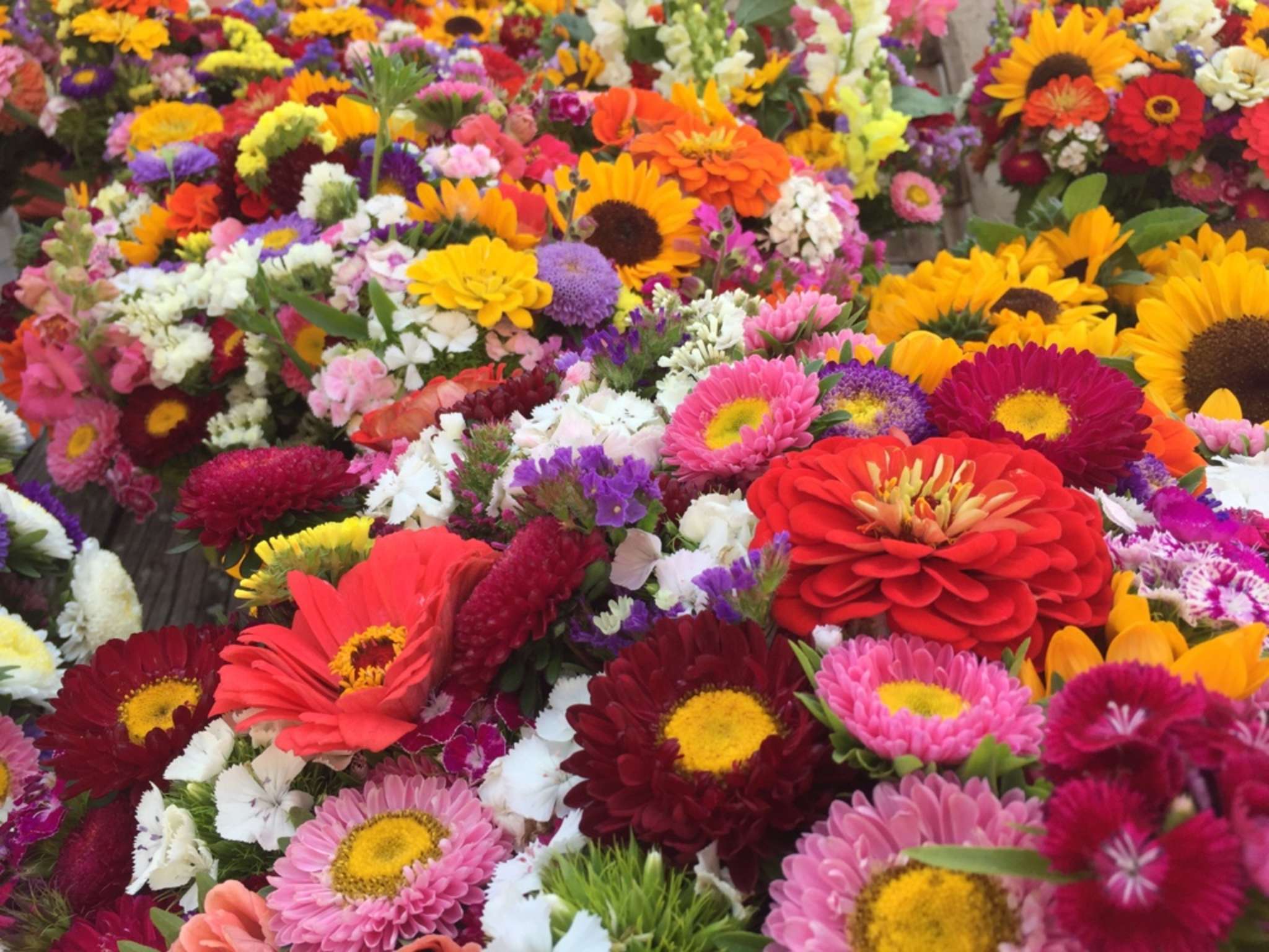 Essbare Blüten ein Augenschmaus