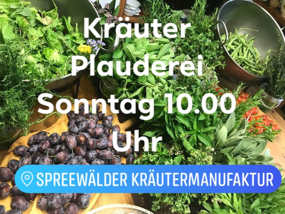 Kräuterklatsch am Sonntag