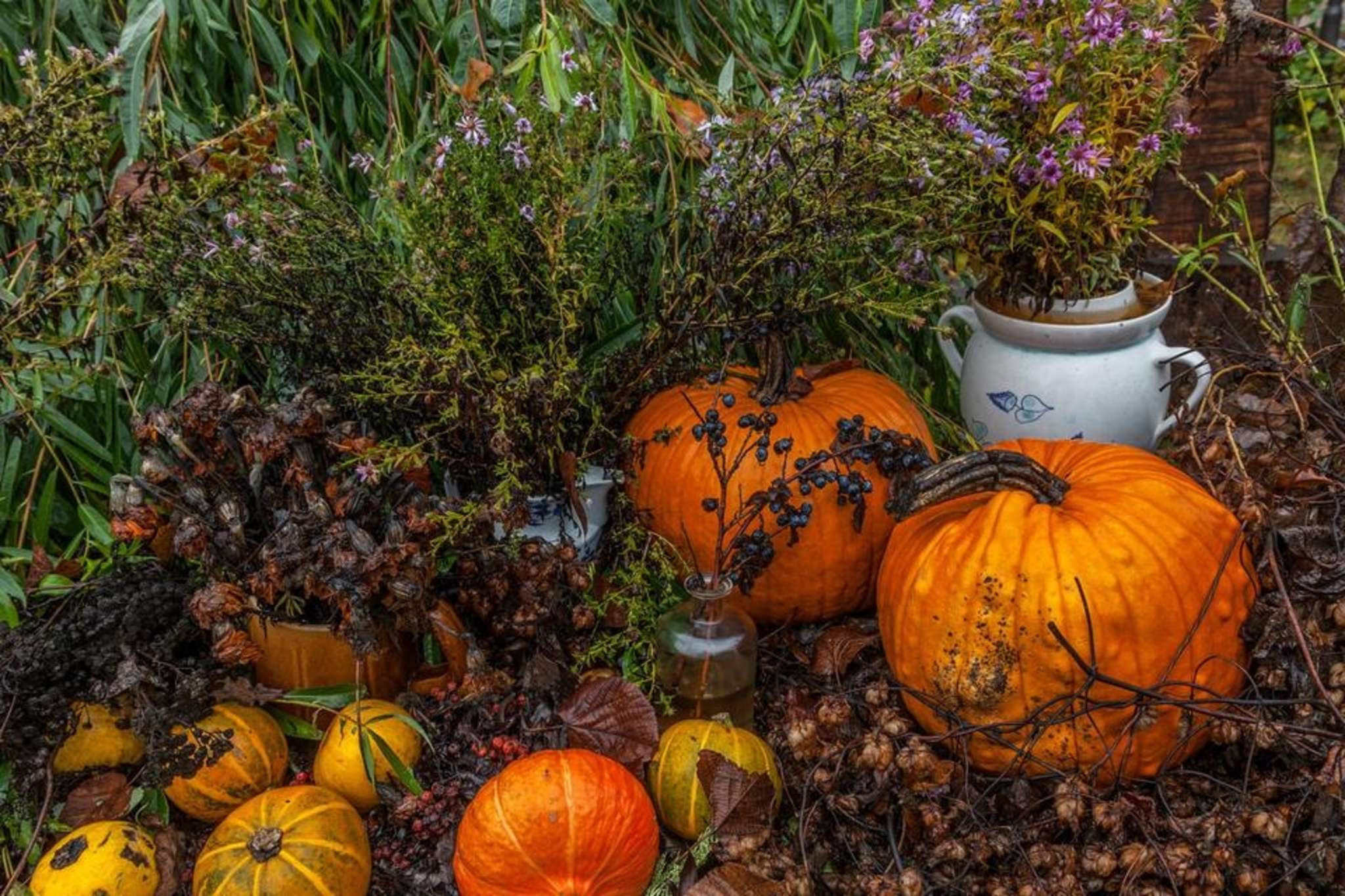 Entdecke Herbst auf dem Schlossberghof in Burg