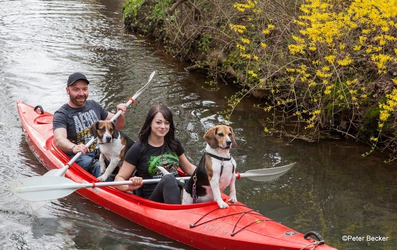 Wasserwelt Spreewald entdecken