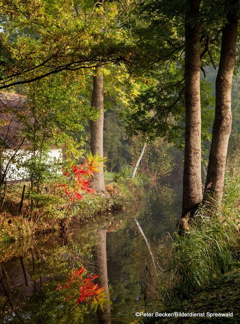 Spreewald im Herbst