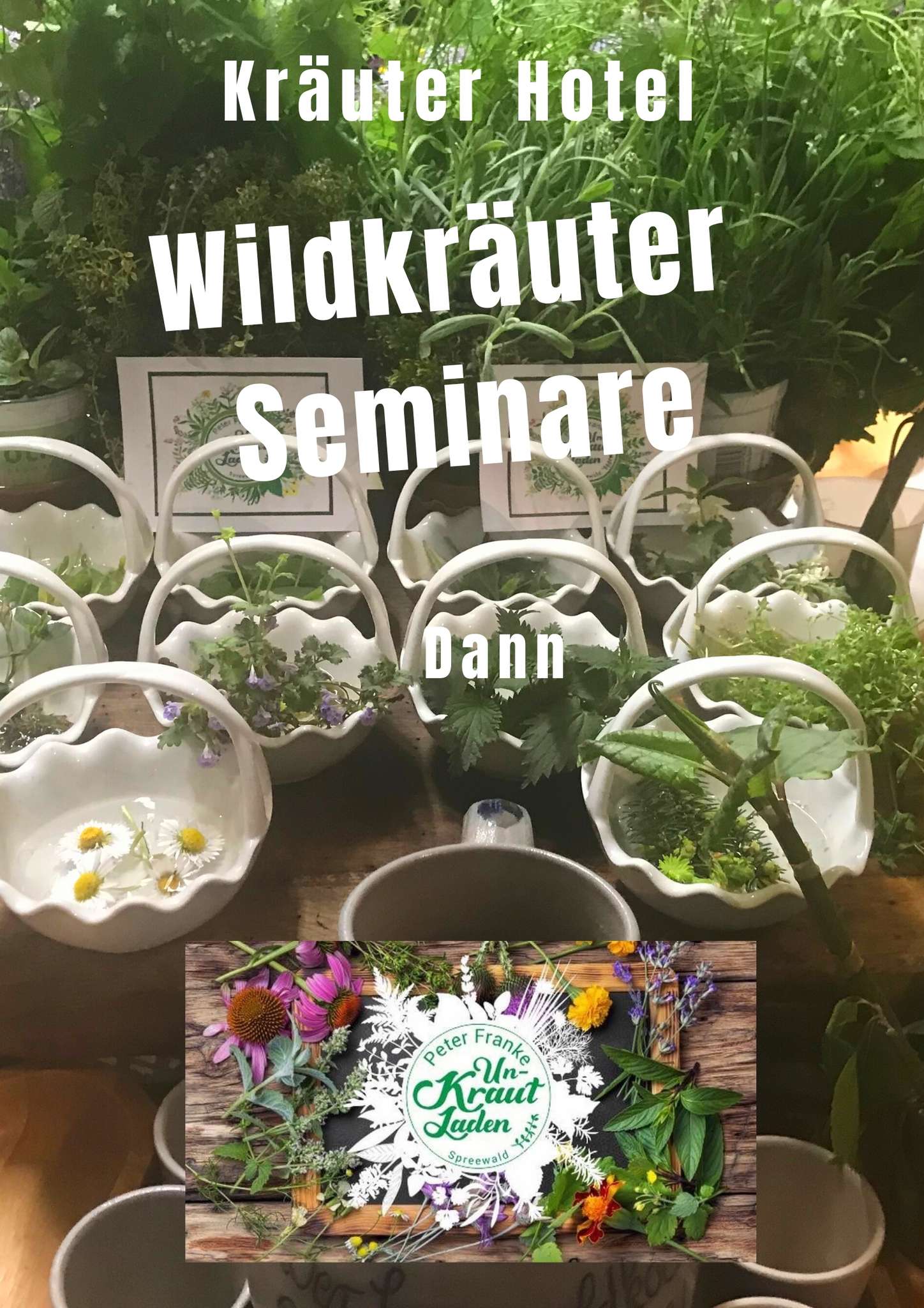 Wildkräuter Seminare im Spreewald