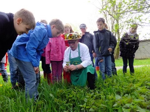 Wildkräuterfest für Kids und Teens