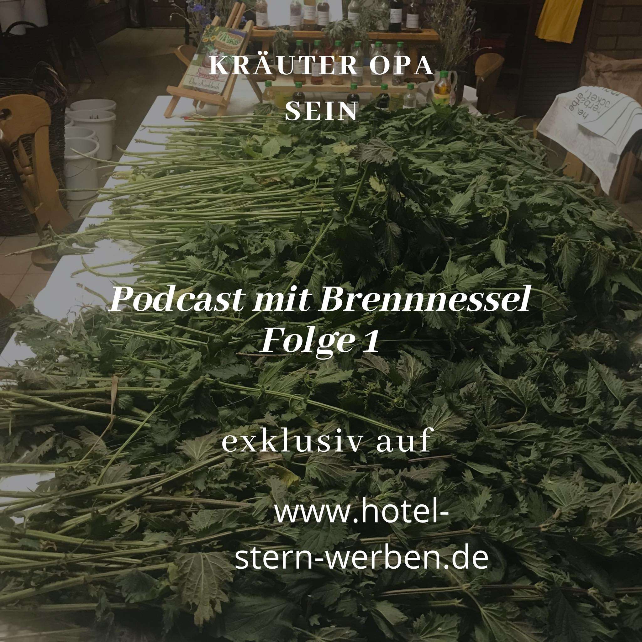 Königin der Wildkräuter im Podcast 1