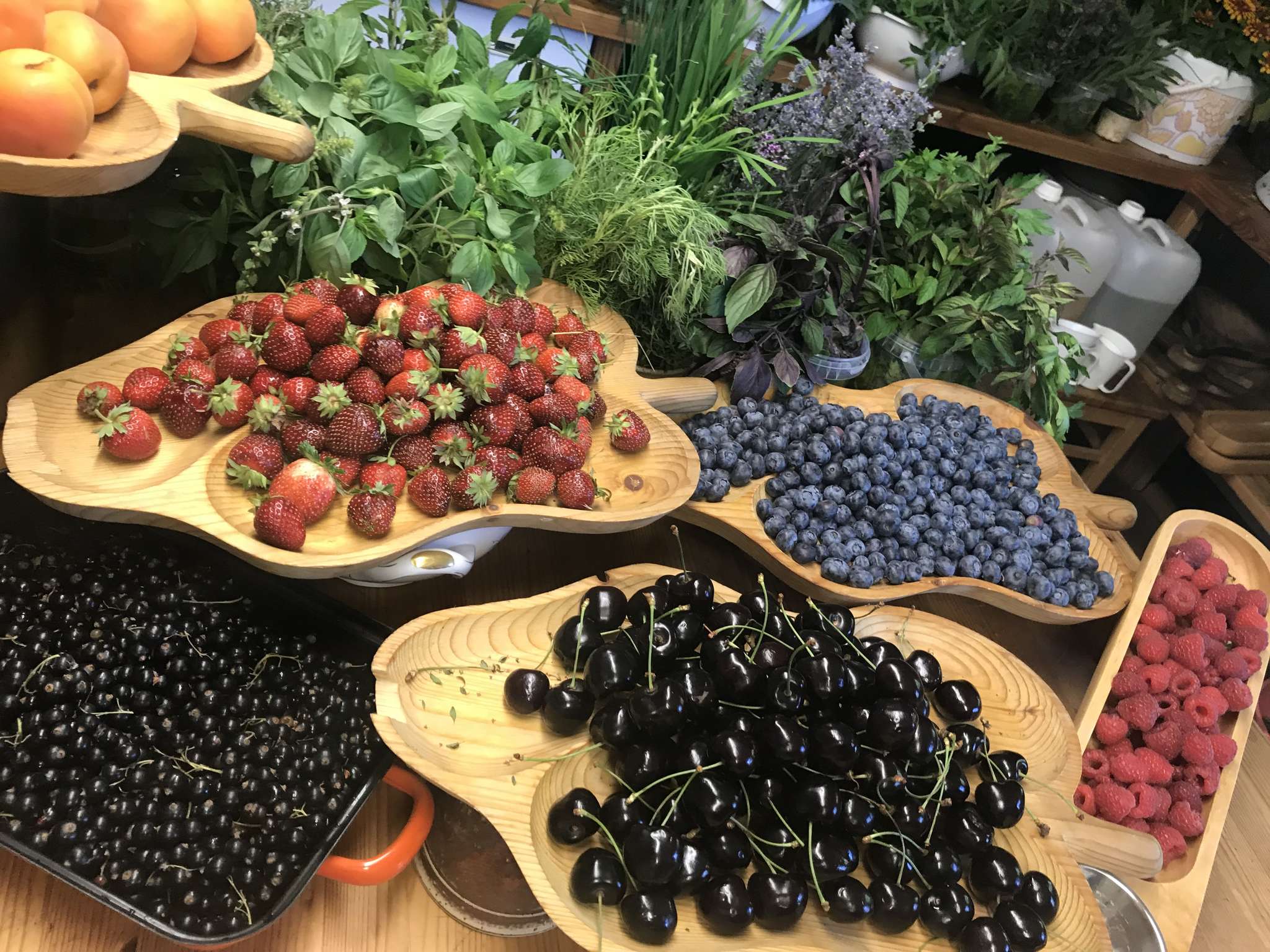 Beeren binden Bären auf