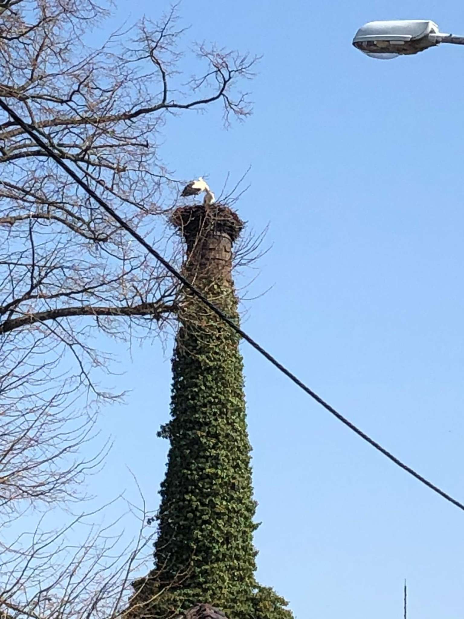 Was wären wir ohne Natur?