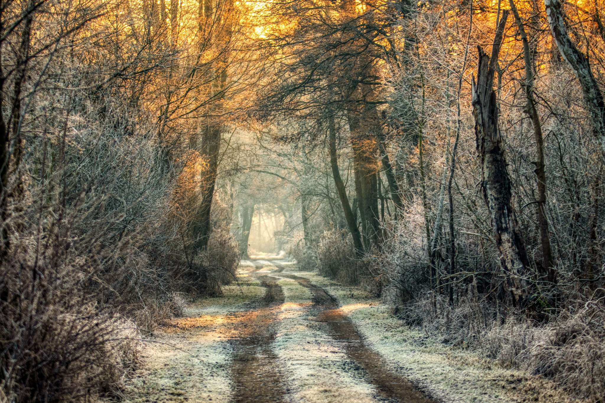 Wo führt der Weg noch hin?