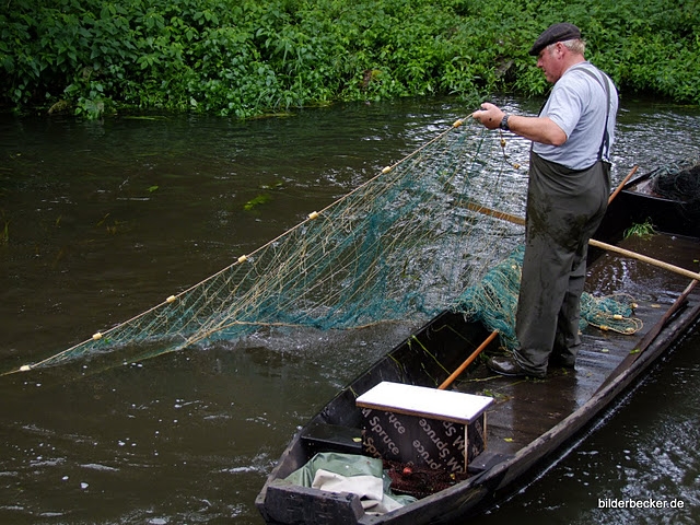 Fischerei im Spreewald