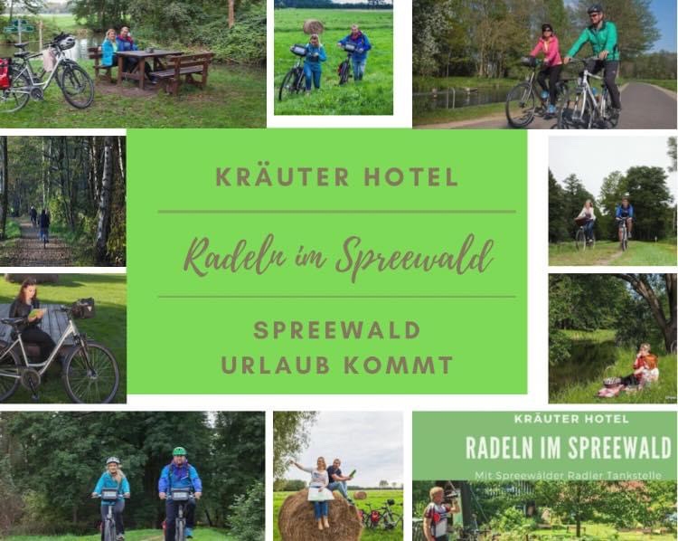 Radfahren im Spreewald