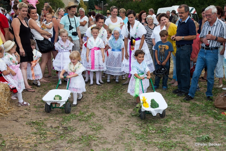 Froschkarren in Werben