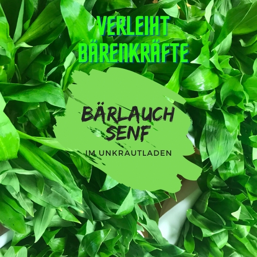 Bärlauchsenf im Spreewald