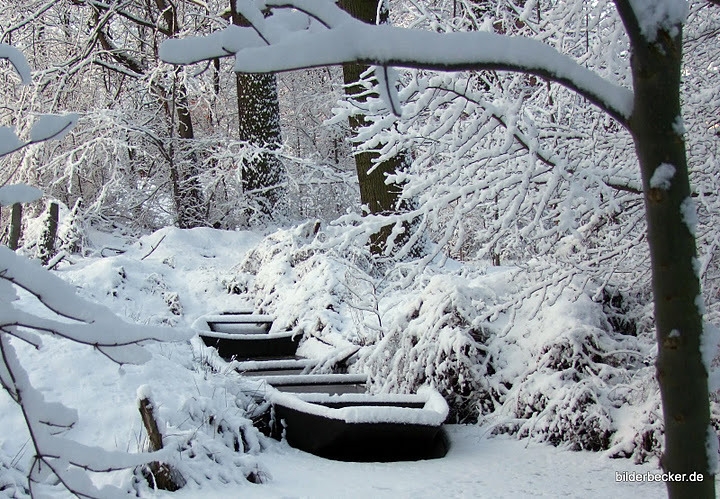 Der Winter ruft in den Spreewald