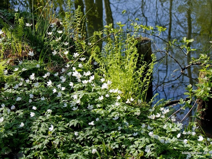 Geheimnisse der Natur im Spreewald entdecken