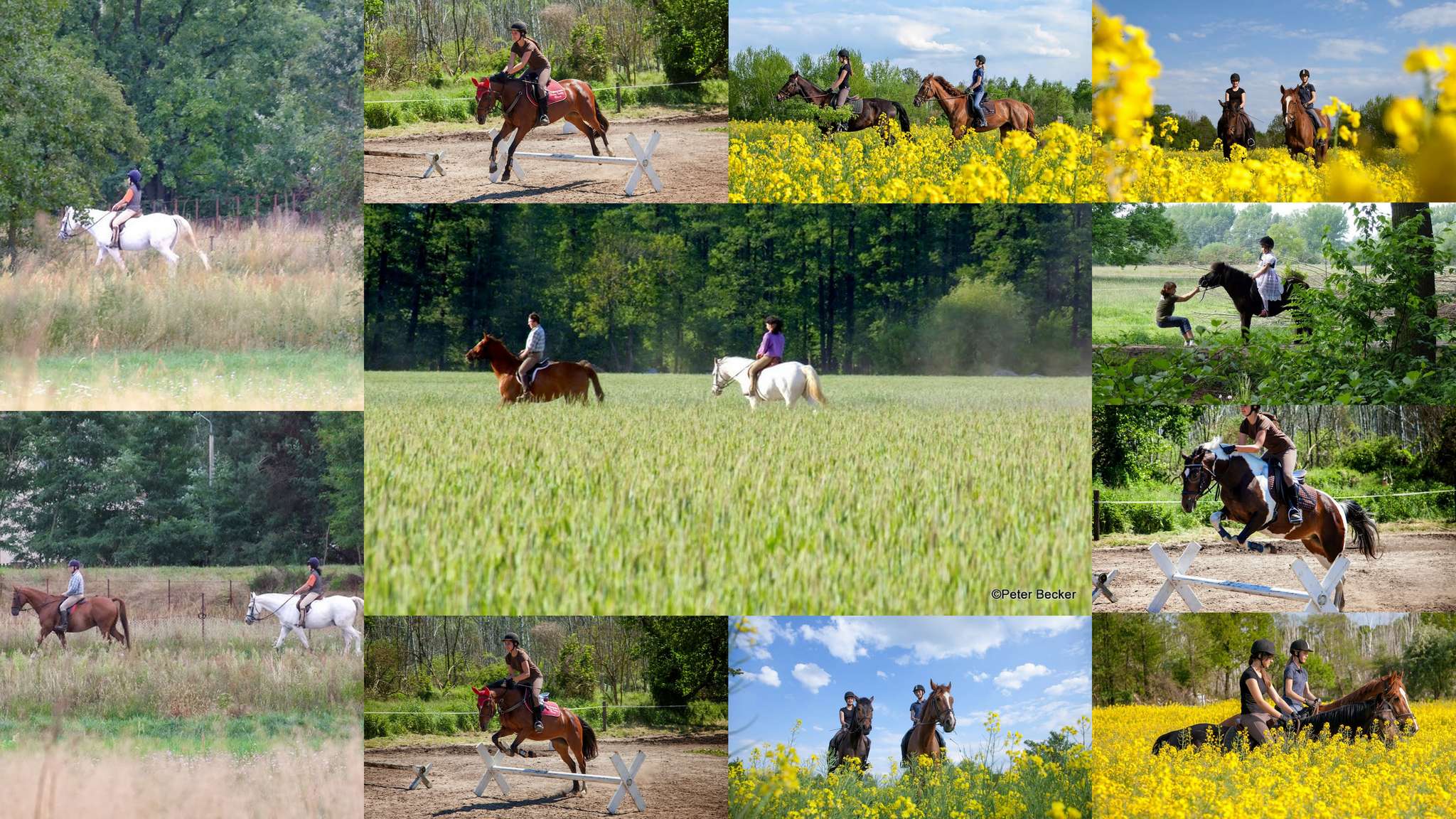 Reiten im Spreewald in Schmogrow