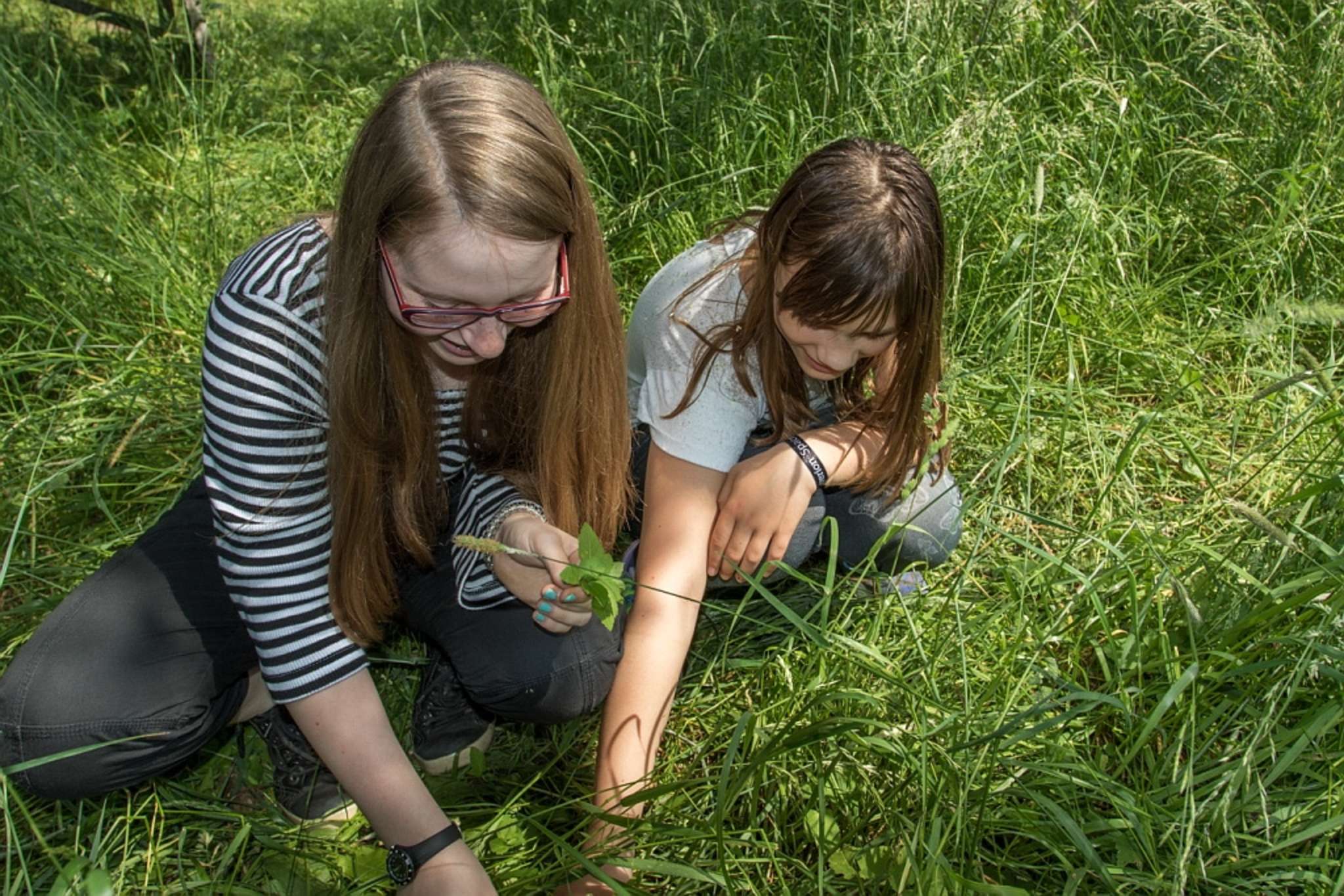 Kräuter Opa entdeckt die Wiese mit Kids