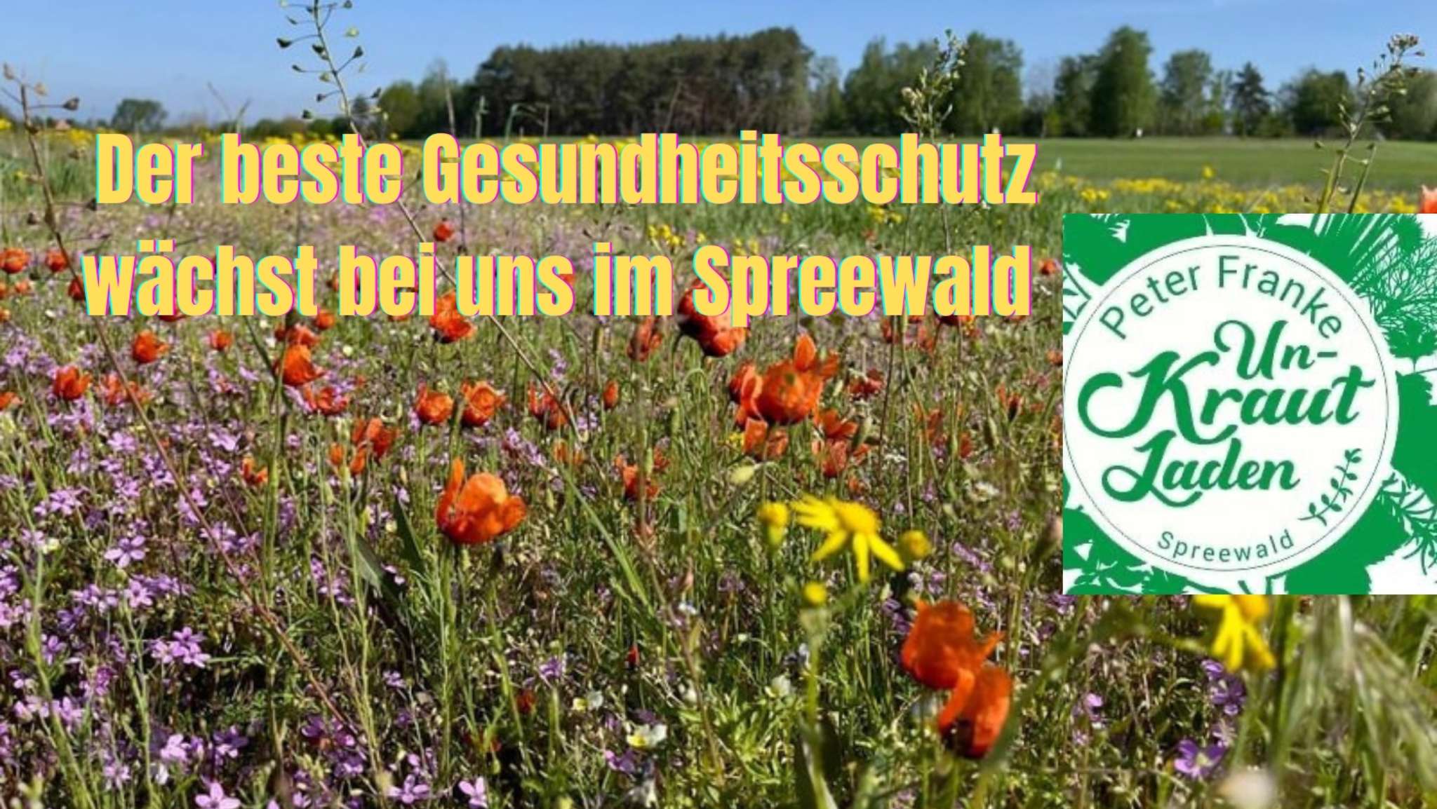 Gesundheitsschutz im Spreewald