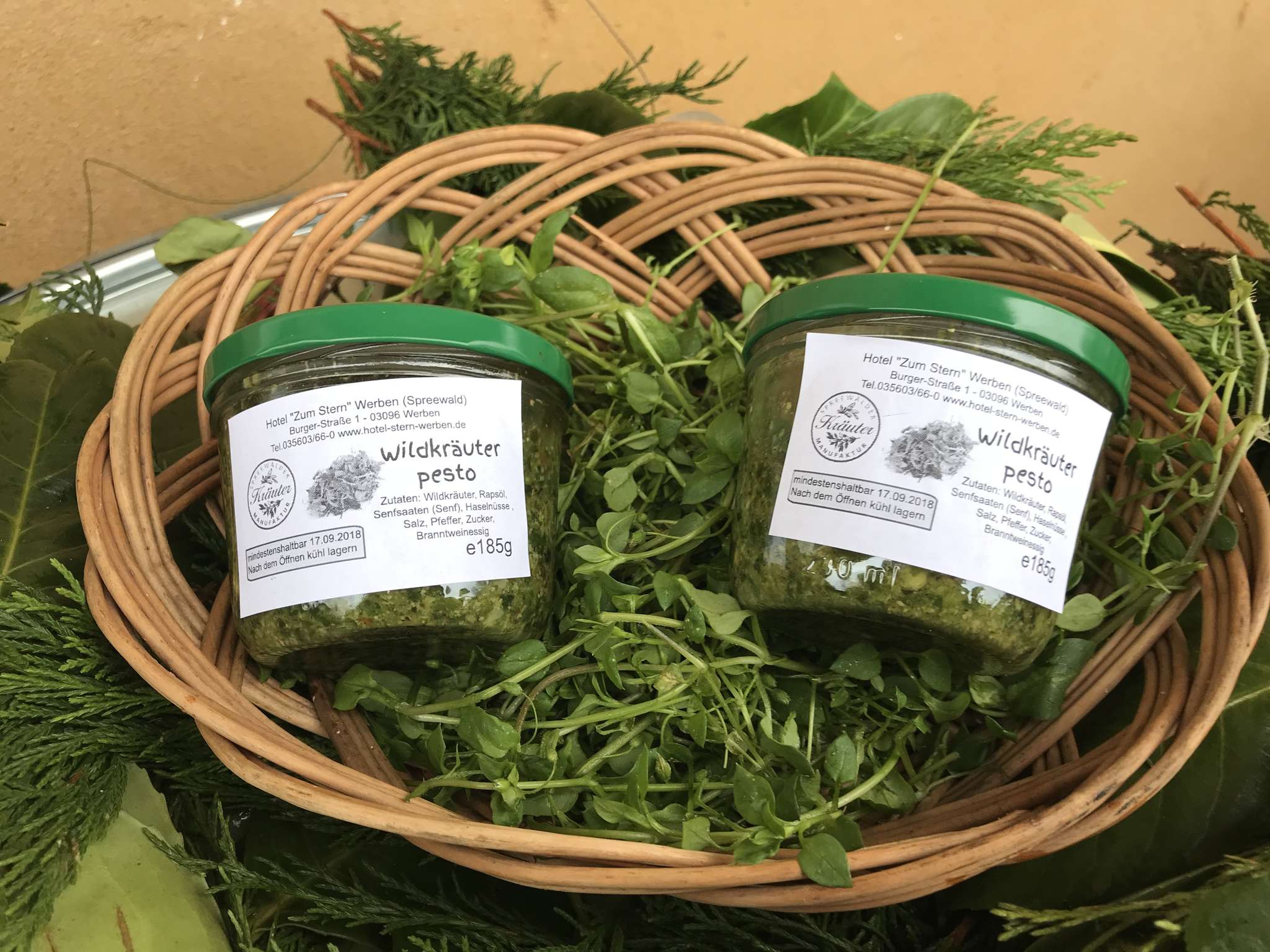 Wildkräuter - Pesto