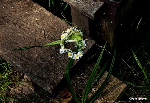 Frühling im Spreewald ist Liebe zur Natur