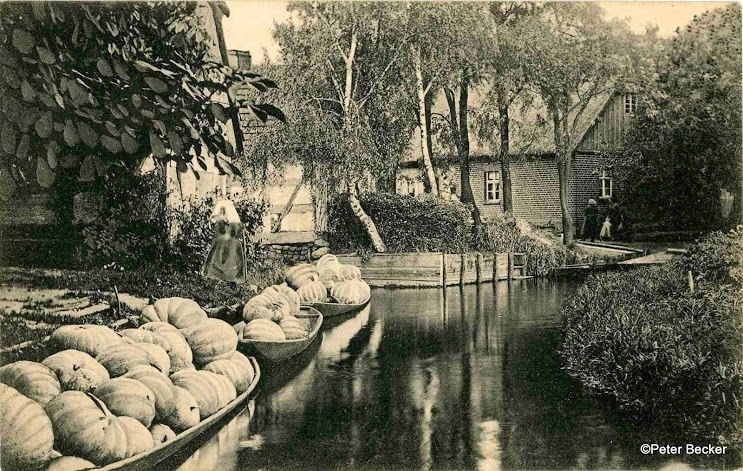 Kürbis spielt Hauptrolle im Spreewald