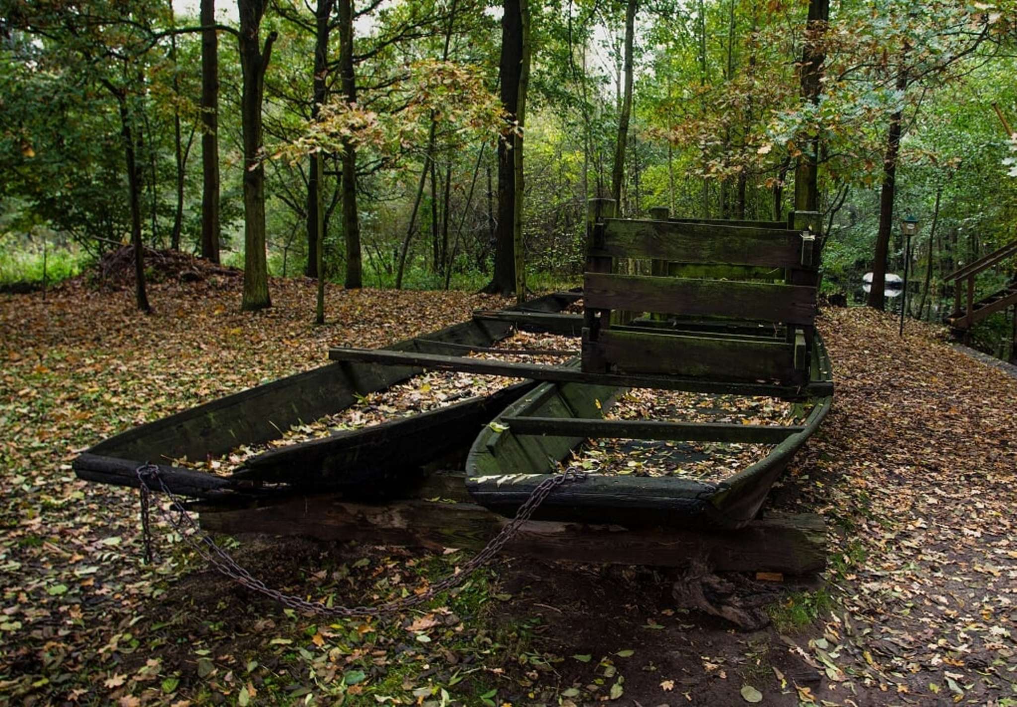 Herbstfärbung im Spreewald