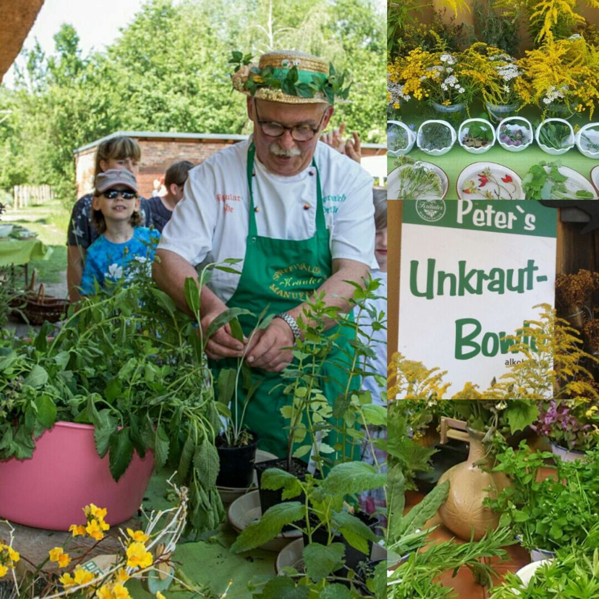 Rückblick - Plädoyer für Unkraut 2016