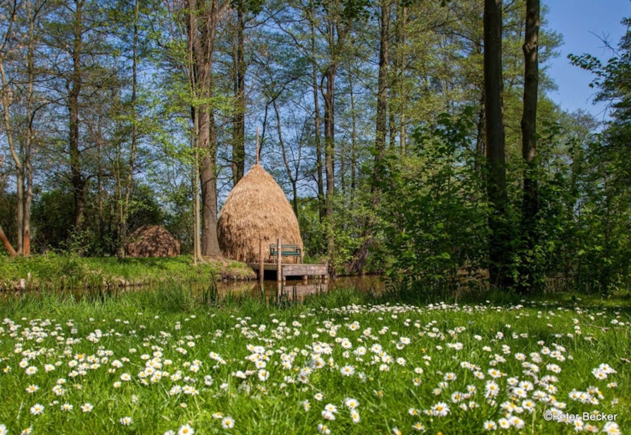 Wildpflanzen im Spreewaldtourismus